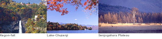 Kegon-fall Lake-Chuzenji Senjogahara Plate au