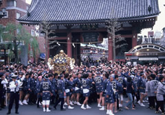 sanjya festival