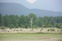 Odashirogahara Plateau