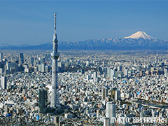 tokyo sky tree