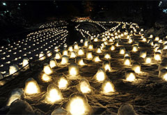 湯西川溫泉雪屋祭