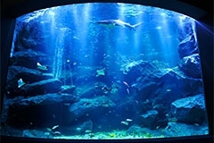 Sumida Aquarium plan