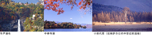 Kegon-fall Lake-Chuzenji Senjogahara Plate au