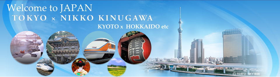Tokyo and Nikko Kinugawa tourism