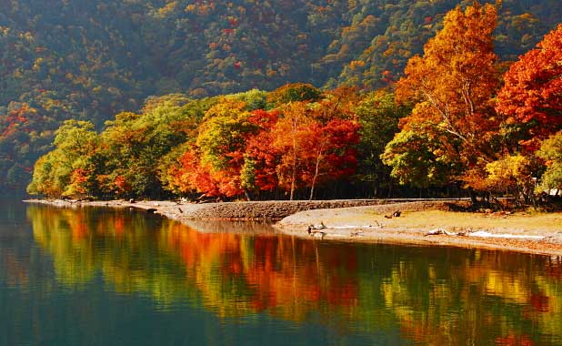 Autumn Leaves Tours-Nikko 2 Day Tour with cultural experieces |TOBU TOP ...